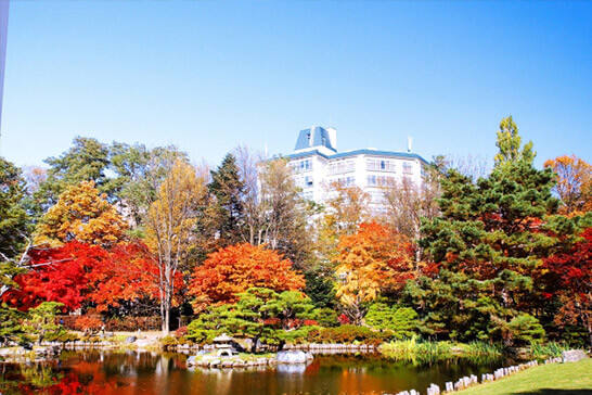 四季を感じながら撮影できる【中島公園】