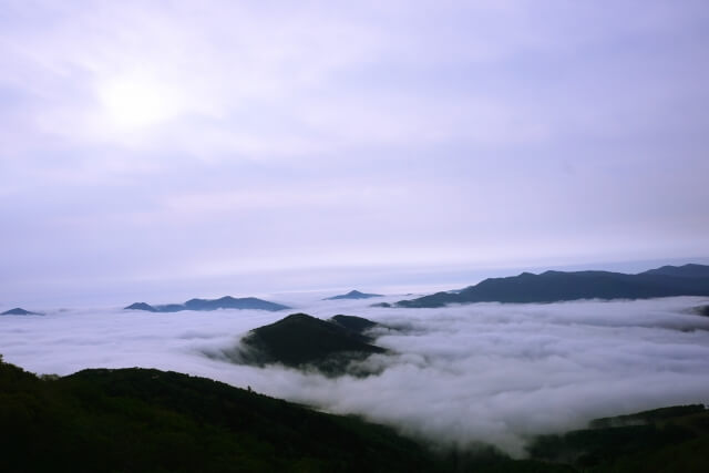 【自然デート1】北海道だからこその絶景を。星野リゾート トマム「雲海テラス」