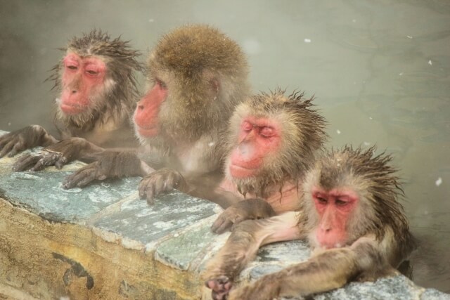 温泉の街・函館