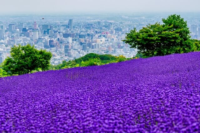 5.日本で唯一の夜景専用パーキング「幌見峠」