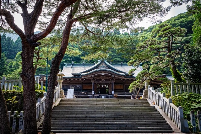 函館八幡宮での結婚式を叶える少人数・家族婚|準備から当日までの完全ガイド