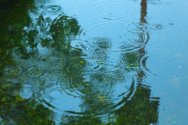 札幌 デート 雨の日はしっとり派orわいわい派？【30秒診断】