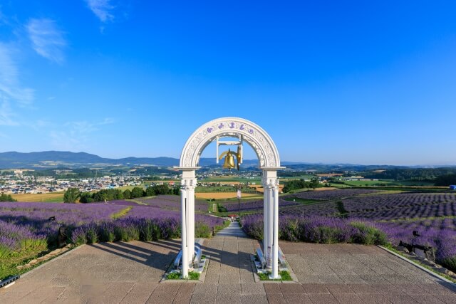 富良野はフォトウェディングにぴったり！人気スポットや費用・スタジオを一挙紹介